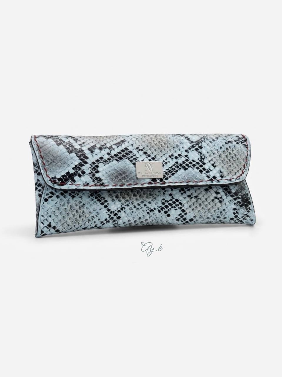 Arctic Glasses Case