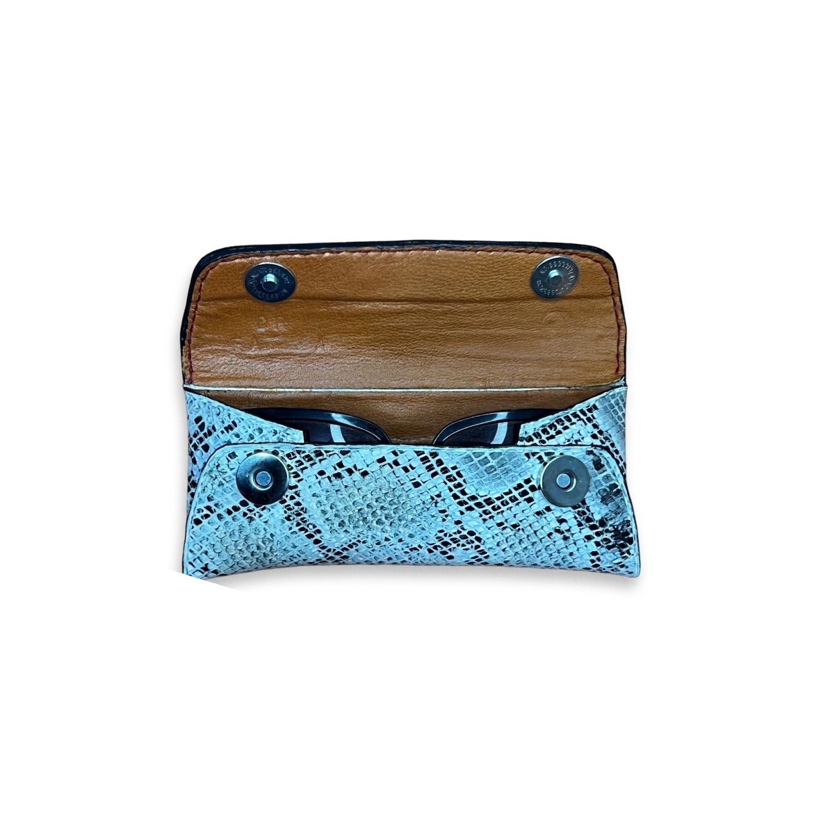 Arctic Glasses Case