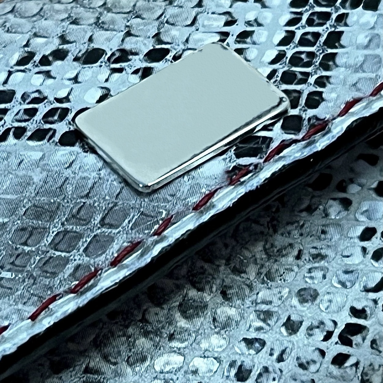 Arctic Glasses Case