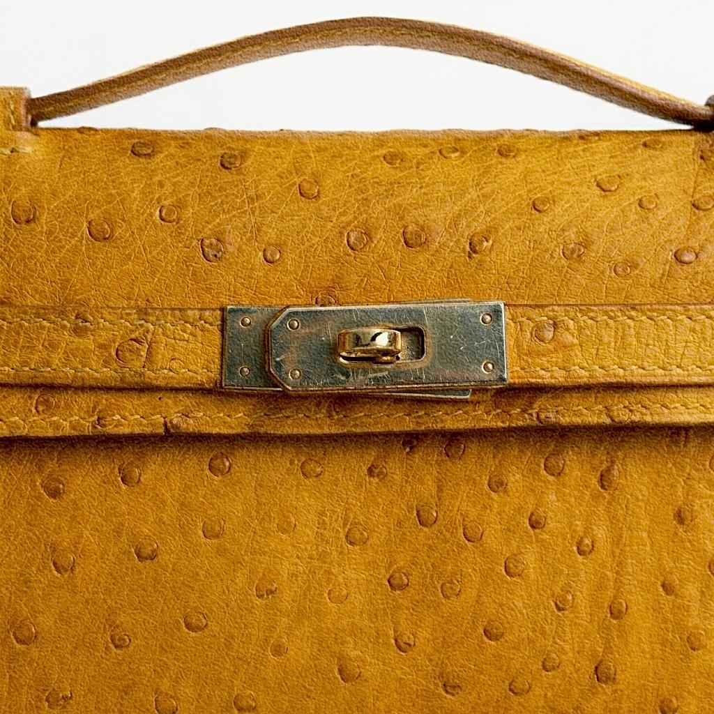 The Aurelia Clutch